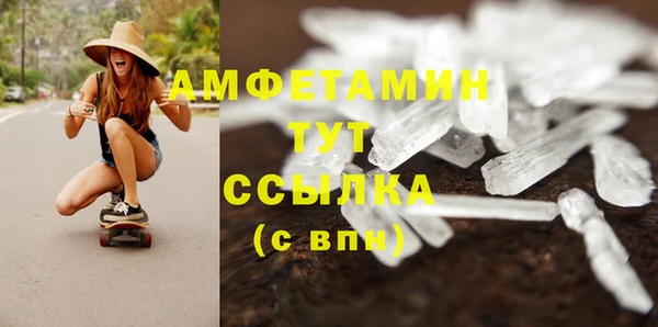 крисы Армянск