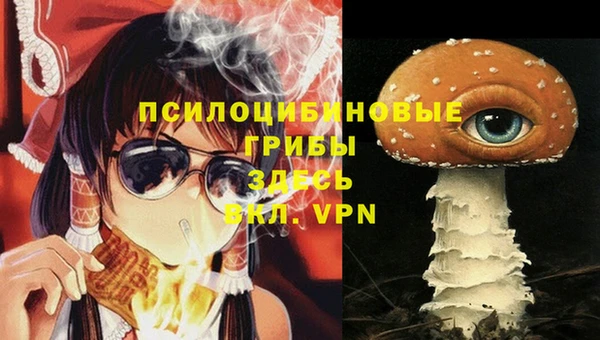 крисы Армянск