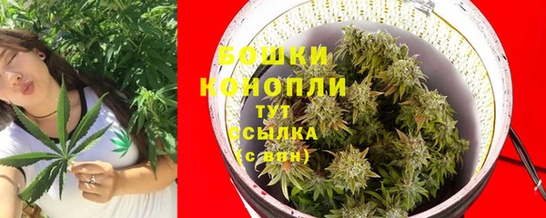 крисы Армянск